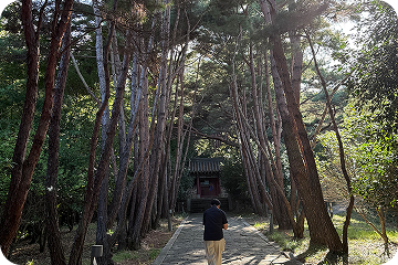 스케치사진