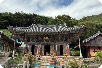 스케치사진