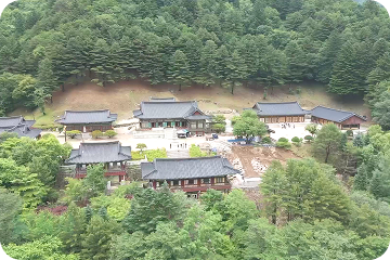 스케치사진