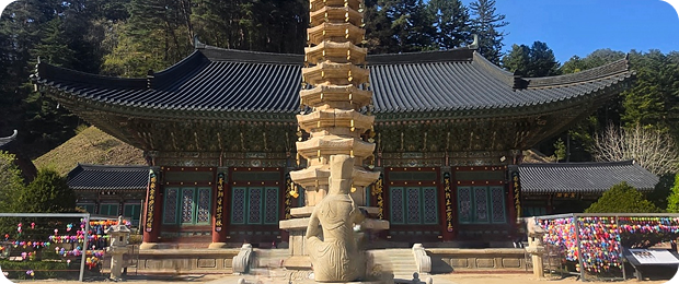 전나무 숲길